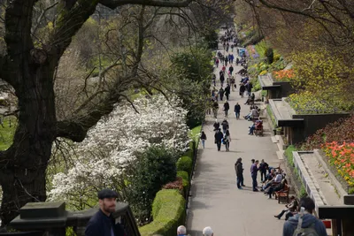 DSC_7384 (Large).JPG